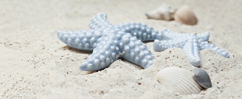 Starfish Cookies